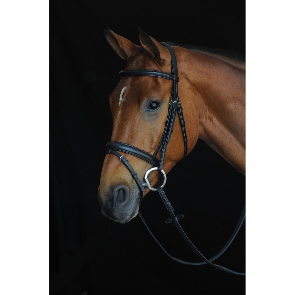Collegiate Comfort Crown Padded Raised Leather Flash Bridle