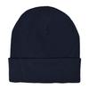 L-Merch RPET Beanie