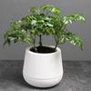 Self Watering Planter Pots with Water Reservoir for Small Indoor Plants