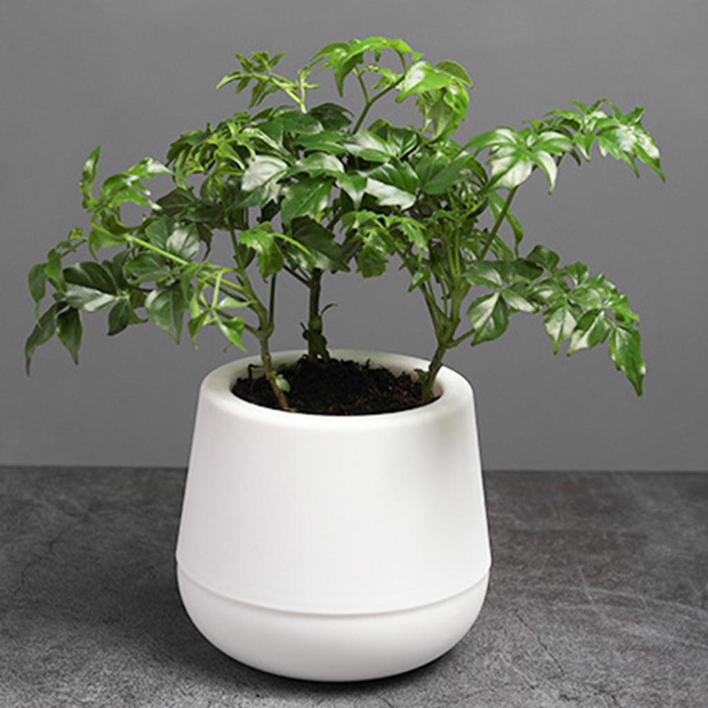 Self Watering Planter Pots with Water Reservoir for Small Indoor Plants