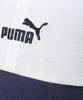 Puma ESS No1 Color Block Dad Cap White Navy 02598802