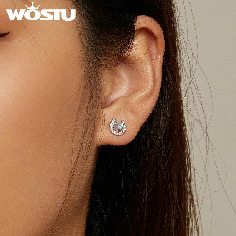 WOSTU Стерлингового серебра 925 пробы в форме сердца, подкова из лунного камня, круглые беруши и серьги для женщин, ювелирные изделия