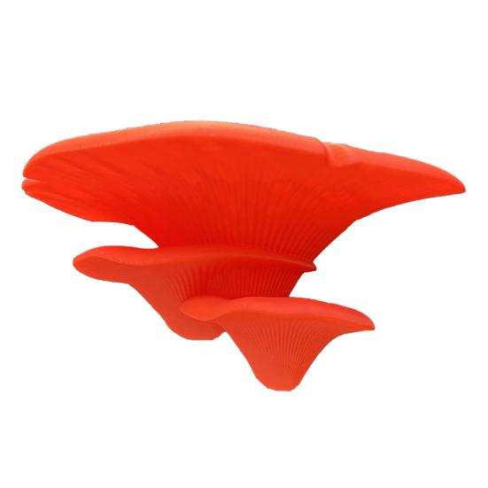Mushroom Shape Bracket, Double Purpose Stand for Displaying And Storing Items, Wall Decoration Shelf for Glass Tiles Smooth Surfaces