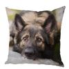 Персиковый кожаный чехол для подушки Подушка с изображением овчарки Домашнее животное Животное Подходит для детской комнаты