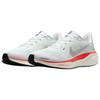 Nike Air Zoom Pegasus 41 Barely Green Bright Crimson Men Sneakers White Metallic-Silver FD2722-115