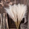 10 шт. искусственная пампасная трава Декор Цветочная композиция Художественная ваза Наполнитель Искусственная помпезная трава Свадебная вечеринка Сцена Композиция Бохо Стиль Украшение дома