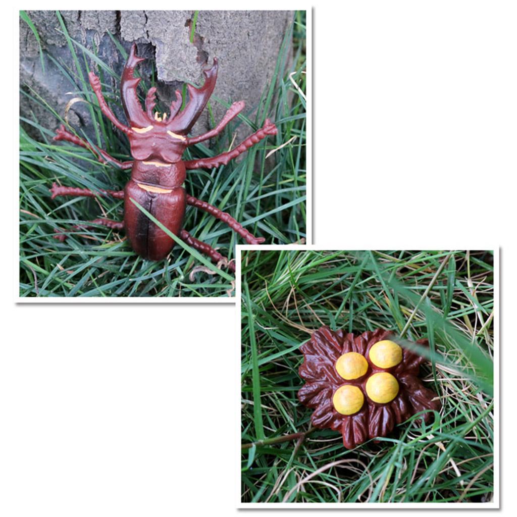 Учебные пособия по жизненному циклу животных для детей от 5 лет Божья коровка