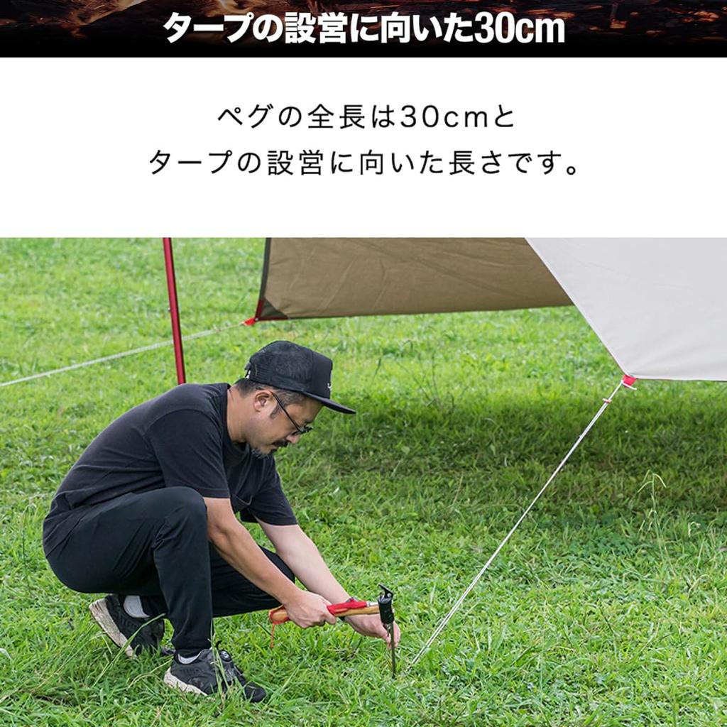 FIELDOOR Titanium Pegs for Tents and Set of Light and Strong Titanium Corrosion Solo Camping Outdoor Tarps, 30cm, 16, Pegs, Resistant, Sturdy,