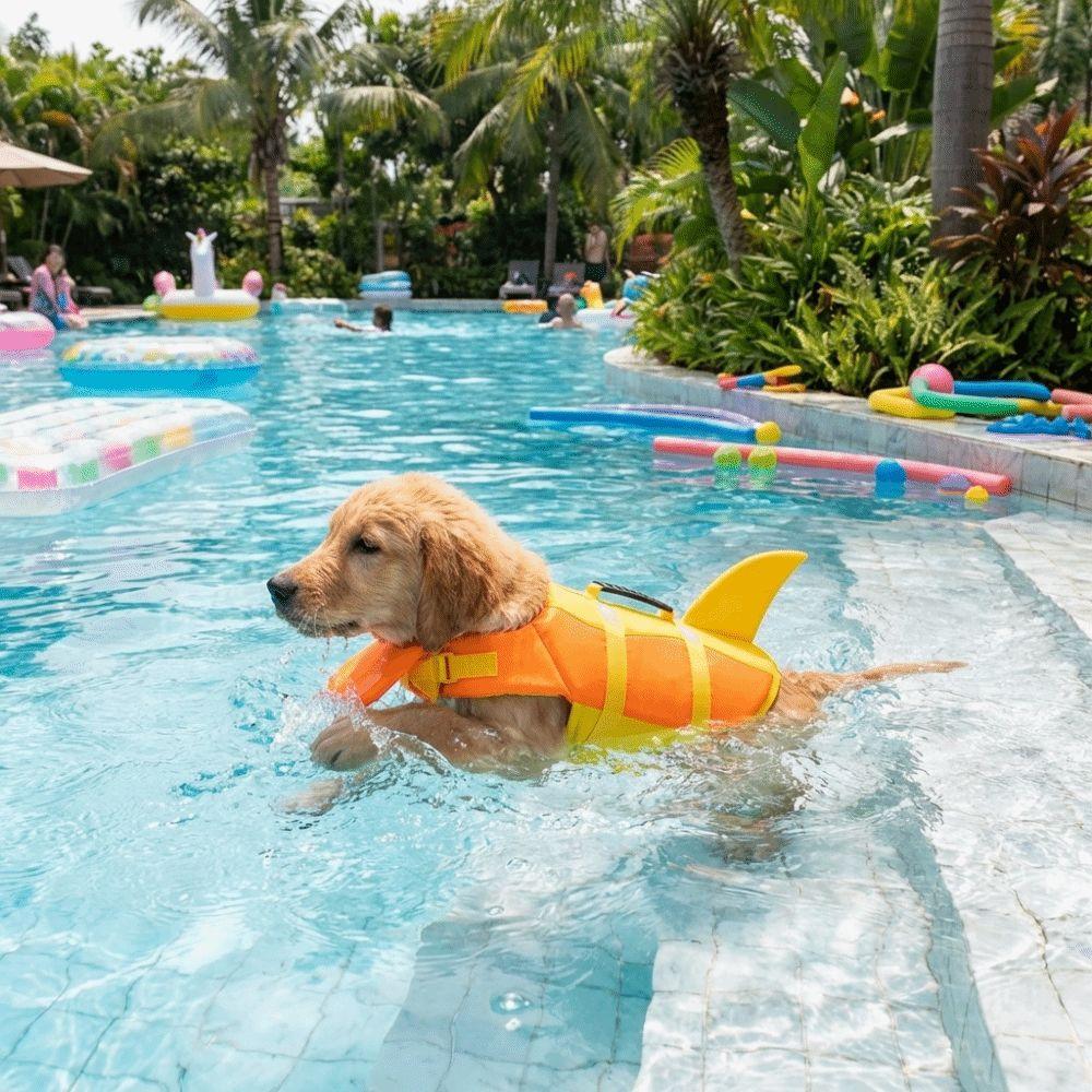 Superior Buoyancy Pet Life Jacket Shark Shape Dog Swimming Suit Dog Life Vest Water Safety