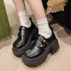 Retro Fashion Small Mary Jane Small Leather Shoes Women's 2025 Spring and Autumn New Thick Heel Platform British Style Loafers