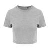 Awdis Womens/Ladies Triblend Crop Top