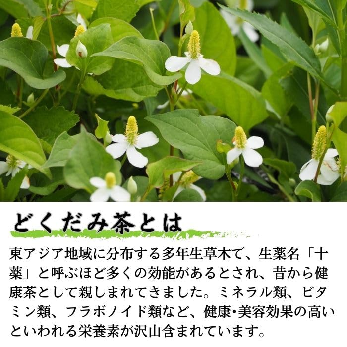 Takayama Tea Garden Dokudami Tea 3 г x 15 пакетиков Домашний чайный пакетик Полезный чай Чайная упаковка Dokudami Tea Подарочный чайный подарок Без пестицидов Без добавок