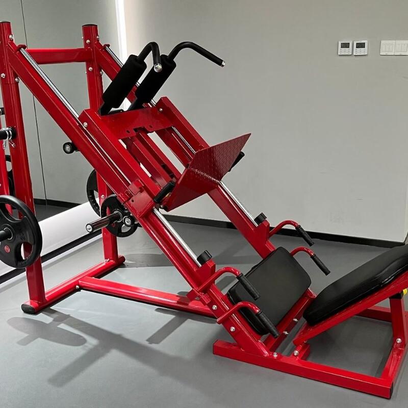 Yishi Dual-Function Leg Press & Hack Squat Machine
