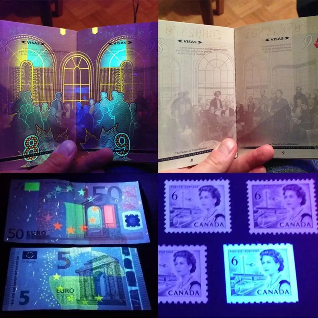 D2 Ультрафиолетовый светодиодный фонарик черного света 395 нм Ультрафиолетовые фонари Ручной УФ фонарик Детектор Моча домашних животных Сухие пятна Скорпионы Фонари