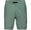 Mammut Шорты Massone Sport