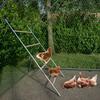 Large Perch for Chicken Coop – Perch for Chickens, Fun Chicken Toy, Chicken Coop Accessory