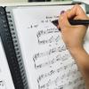 Файл для нот Папка для хранения нот Держатель для нот 40 страниц На спирали Органайзер-папка для нот для пюпитра