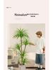 Dragon Blood Tree - Large Indoor Faux Plant for Living Room Decor