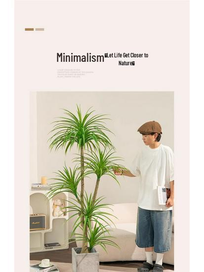 Dragon Blood Tree - Large Indoor Faux Plant for Living Room Decor