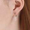 CRANNE Серьги-подвески с круглым камнем 14K GF One-Touch C24EGF206