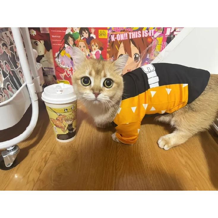 Anime Pets Cosplay Rengoku Kyoujurou Pet Cosplay Photography Rengoku Kyoujurou Cat Clothes Dog Ghost Killing Team Pets