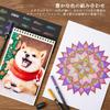 Shuttle Art Colored 174 Color Colored Adult Coloring Metallic Pencil Illustration Удобные для празднования Подарочные карандаши, набор, Карандаши на масляной основе,