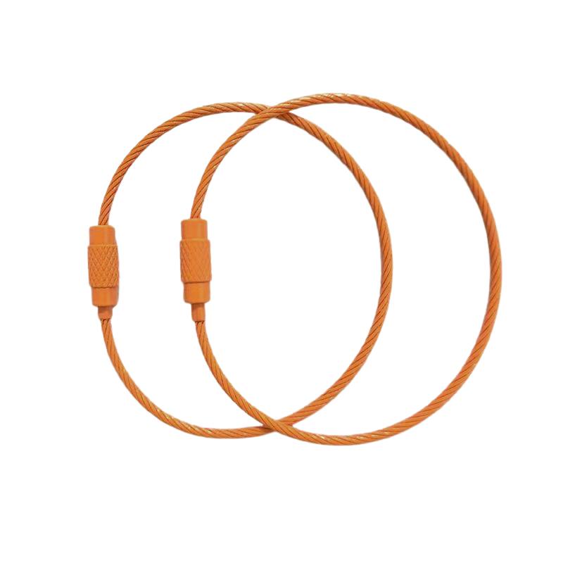 10 шт. Разноцветный тросик из нержавеющей стали для ключей, 6 дюймов, 1,5 мм, петля из нержавеющей стали, брелоки разных цветов, бирки для ID