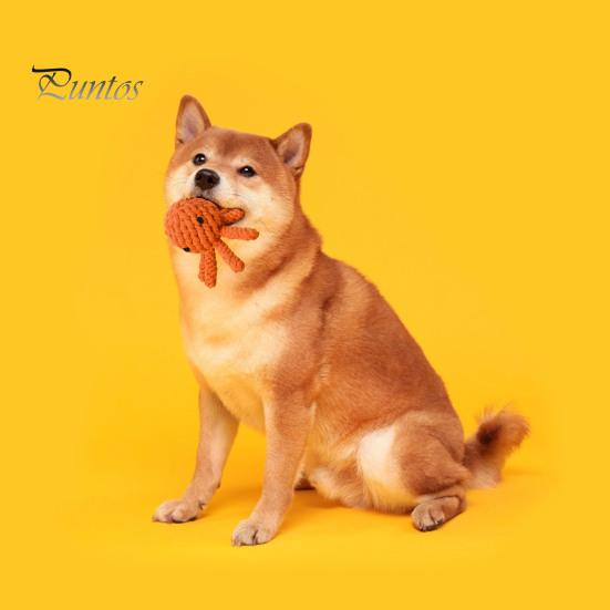 Interactive Cotton Rope Dog Toy Cute Rabbit Bear Giraffe Octopus Shape Dog Chew Toy Bite-resistant Pet Squeaky