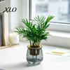 Small Green Plant Container Self Watering Planter for Indoor Plants, Transparent Hydroponic Planter, Decorative Pot Flowerpot with Wick Rope