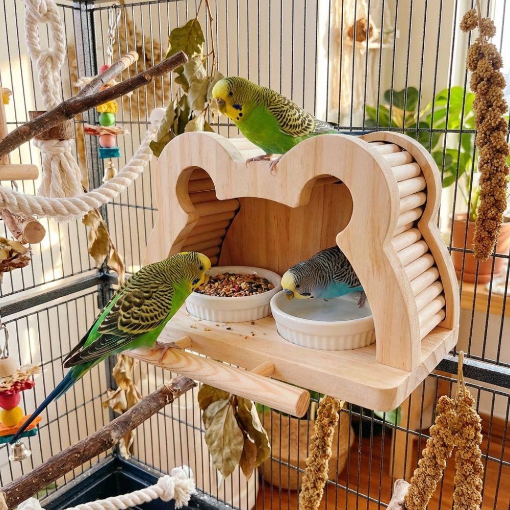 Splash-proof Bird Feeding Station Large Capacity Bird Perch Play Toy Food Dispensers Aviary Use