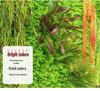 50×50cm Artificial Green Plant Wall - Plastic Vertical Garden, Fake Flower Wall, Synthetic Turf Background