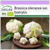 Organic - Цветная капуста - Снежок - 70 семян - Brassica oleracea
