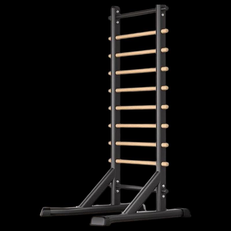 Freestanding Pull-up & Dip Station