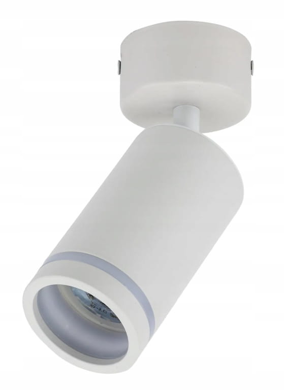 GU10 Ceiling Lamp, Single Recessed Spotlight with Adjustable Spot