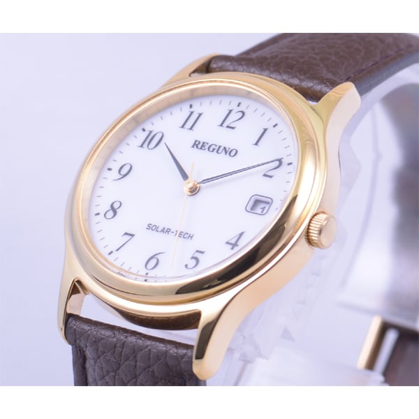 Citizen Мужской RS25-0031B ( Смотреть REGUNO Мужские) Круглые часы коричневые из нержавеющей стали аналоговые