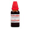 Доктор. Willmar Schwabe Индия Carduus Benedictus Mother Tincture Q - 1X - 30 мл