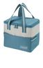 Daily Perfect for Club Includes Insulated Cooler Bag Cooler/10L, Camping, Picnics, Activities, Shopping, Antibacterial, Compact, Eco-Friendly