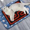 Winter Hot Compress Folding Heat Mat Heating Pad Heater Heated Sheet