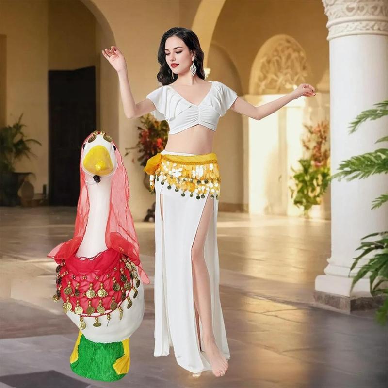 Комплект одежды для танца живота, Хип-шарф для танца живота, Шарф для головы с монетами, Цыганские аксессуары для костюма, Женский костюм для танца живота