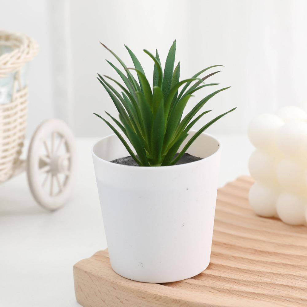 Кактус Суккулент Искусственный Суккулент Бонсай Украшение Стола Мини Суккулент Горшечный Дом