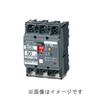 Panasonic Earth Leakage Breaker Type 3P3E with OC 20A 15mA With Terminal Cover BKW32021CCK BKW-50C <Overcurrent Protection>