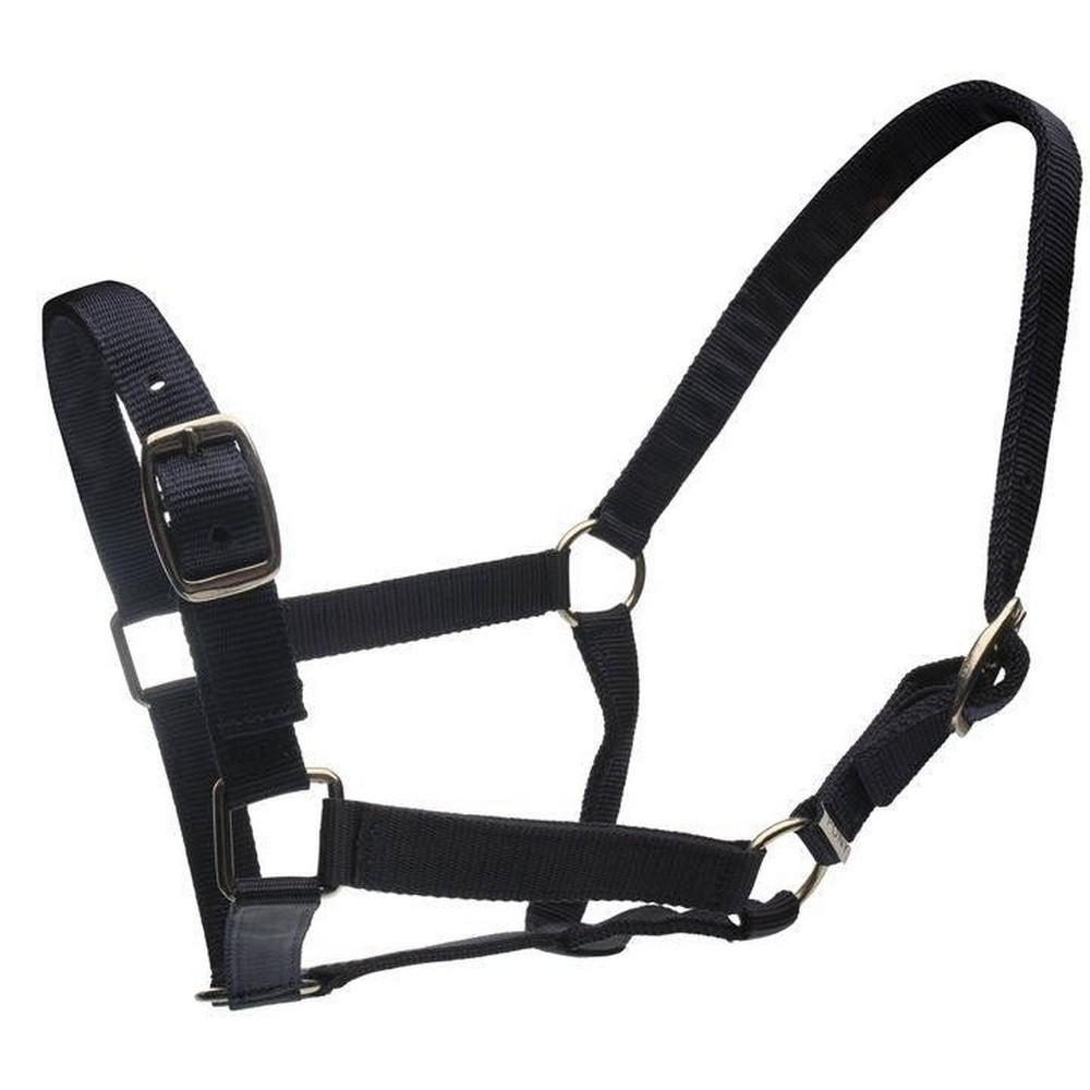 Roma Horse Headcollar And Leadrope