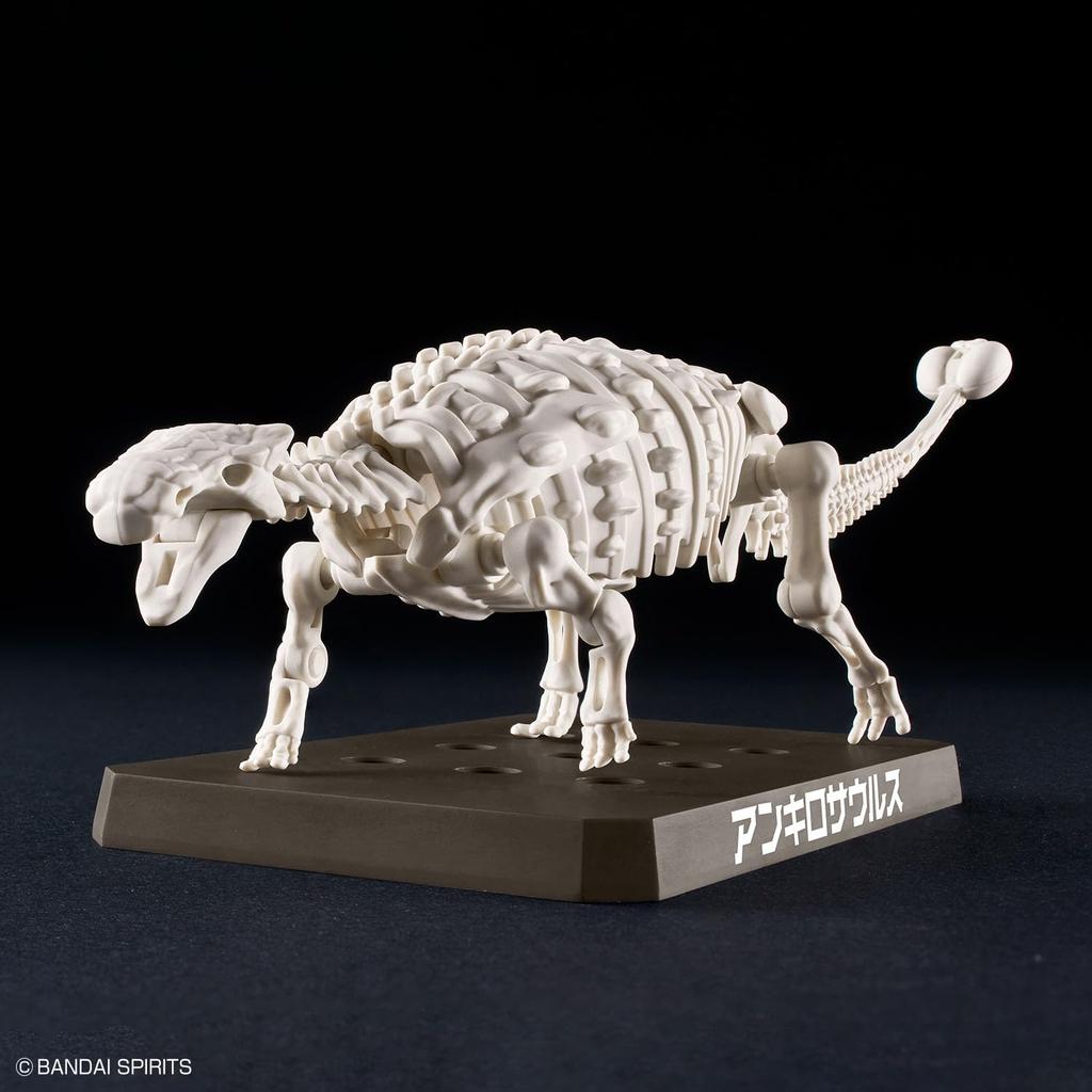 BANDAI SPIRITS Планозавр Анкилозавр пластиковая модель с цветовой кодировкой