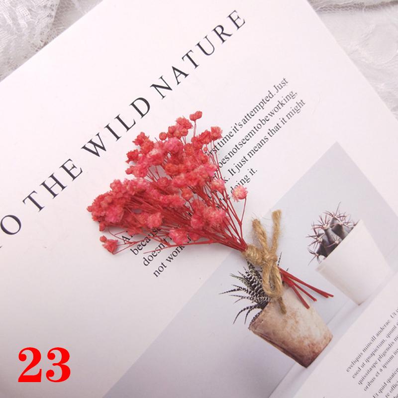 1 букет растений из гипсофилы, пампасной травы, мини-натурального букета из сушеных цветов, настоящая роза