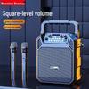 Портативная Bluetooth-колонка для караоке Newmine K503, штекер CN (адаптер в комплекте)