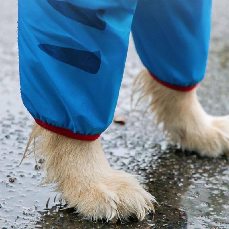Shark Shape Border Collie Raincoat Big Dog Rain Poncho Husky Outdoor Four Legs Waterproof Clothes