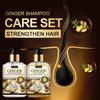 Ginger  Shampoo & Conditioner -Soft and Smooth With Ginger Extract-Enhance Shine-Suitable for All Hair Types, 250ml+250ml