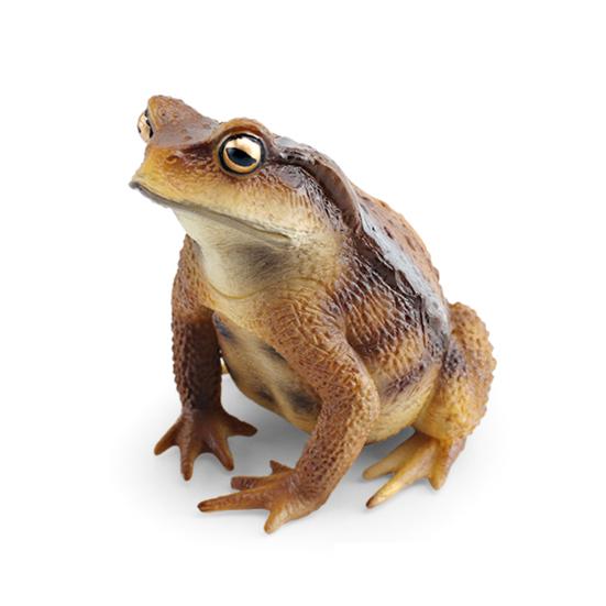Фигурка древесной лягушки, реалистичная статуя жабы, скульптура, украшение, украшение, детская образовательная симуляция, модель дикого животного, игрушка для малышей, мальчиков и девочек, подарок