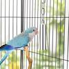 Wontee Stainless Steel Bell Toy Bird Cage Hanging Bite Toy for Parrot Parakeet Budgie Cockatiel Conure n Greys (2 PCS-S)