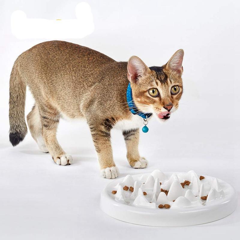 Slow Feeding Bowl, Ceramic Play Interactive Play BLOOD BLOCK BLOOD MISK CAT Prevention Feeder Anti-Alulping Health Feeding Bowl for Animals | Dog Food